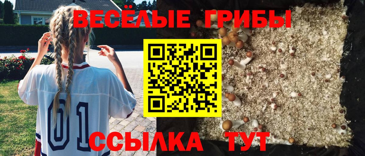 Галлюциногенные грибы GOLDEN TEACHER Соликамск